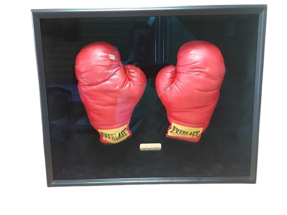 Red Everlast boxing gloves custom framed in deep shadowbox display by Framing & Display showing capability to frame any depth of object.