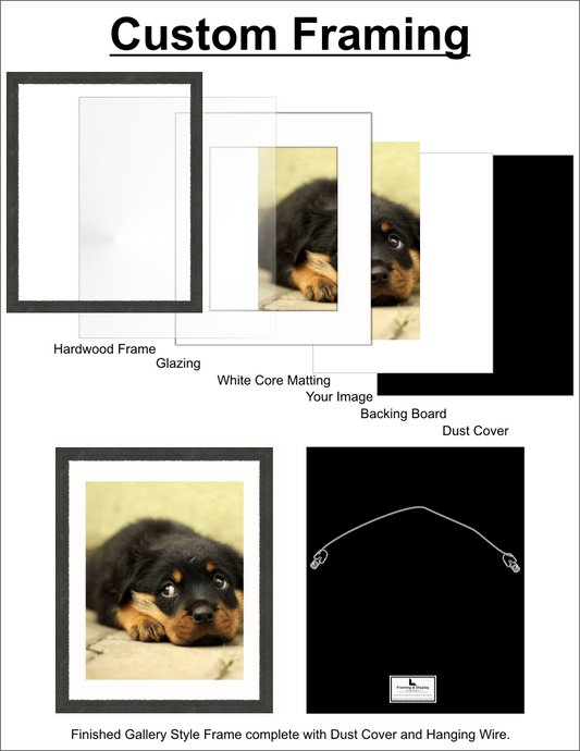 Framed Print (we pick up, frame and deliver back your existing artwork)